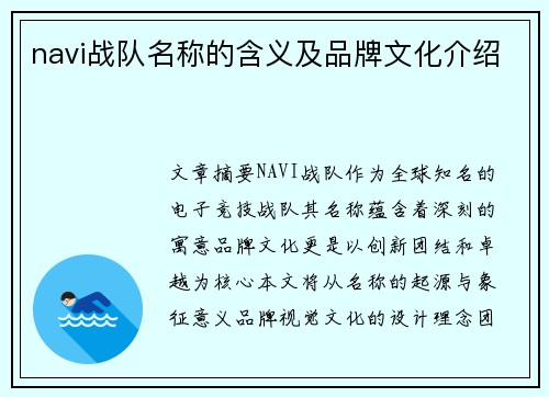 navi战队名称的含义及品牌文化介绍