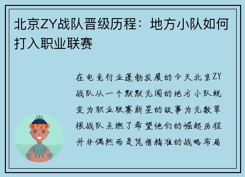 北京ZY战队晋级历程：地方小队如何打入职业联赛